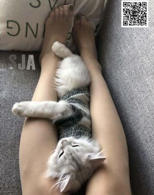 毒液3在线观看免费完整版中文版