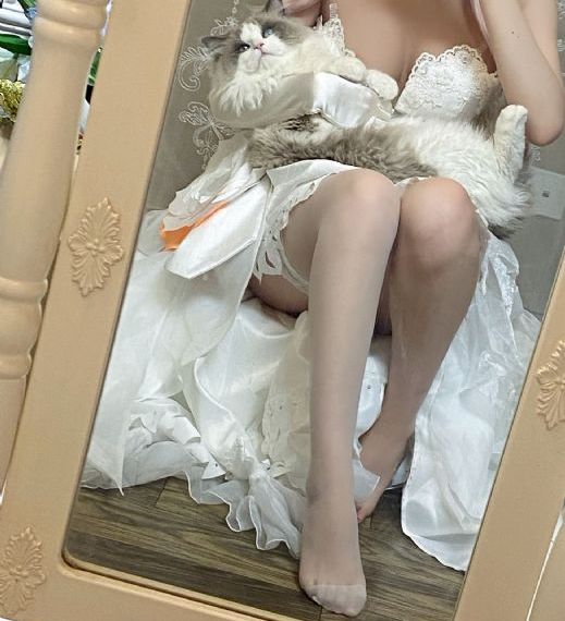 成年人网站免费