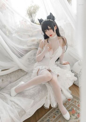单身部落