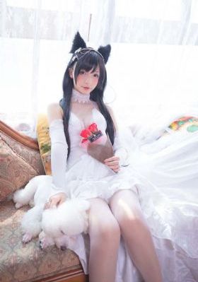 妖魔道之神仙学堂免费版